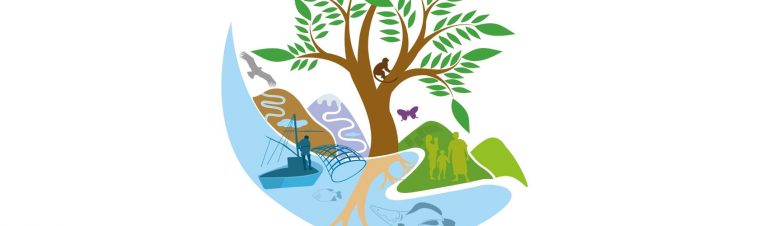 Día Internacional de la Diversidad Biológica