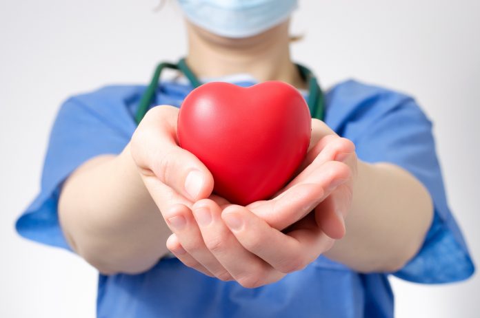 Doctor holding a heart