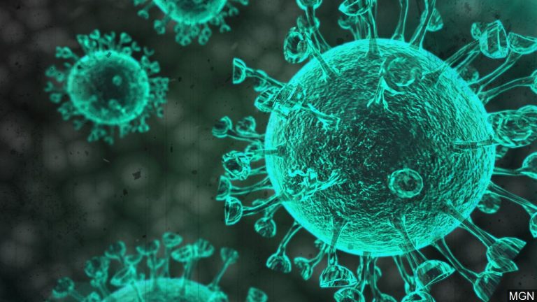 Reflexiones sobre el coronavirus COVID 19